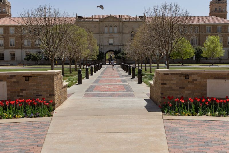 Plainview Dental Services West Texas Dental Associates